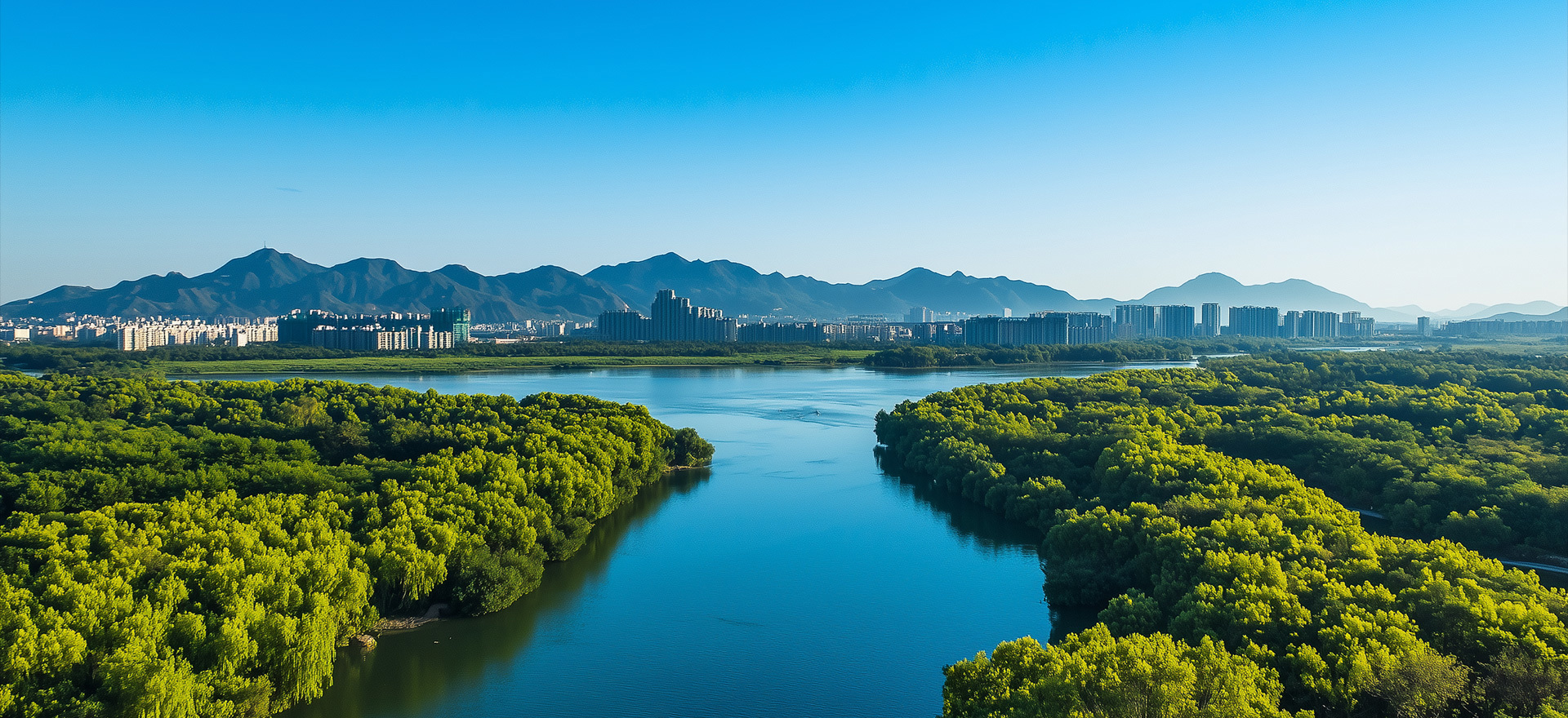 保護環境 造福人類