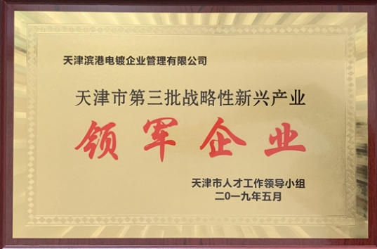 天津市第三批戰(zhàn)略性新興產(chǎn)業(yè)領軍企業(yè)